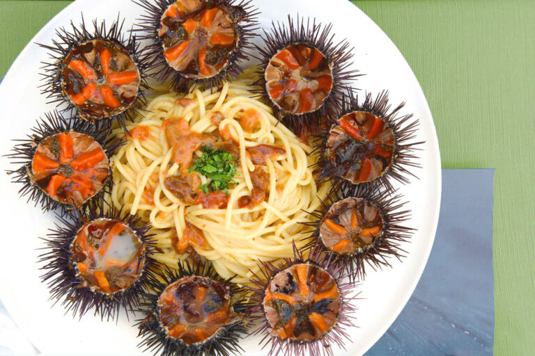 HOTEL SOLEO SARDEGNA piatti tipici sardi enogastronomia spaghetti ai ricci di mare food